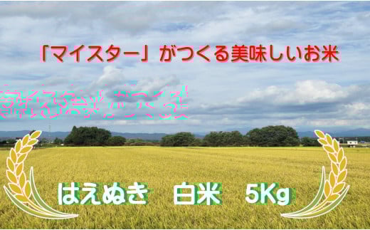 マイスターがつくる　はえぬき　白米　5kg (飯豊町産)