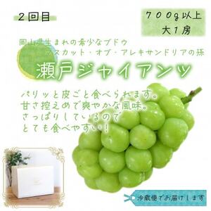 【3週間毎定期便】岡山　花笑み農園のピオーネ、瀬戸ジャイアンツ、シャインの大1房の定番ぶどう便全3回【配送不可地域：離島・北海道・沖縄県】【4064696】