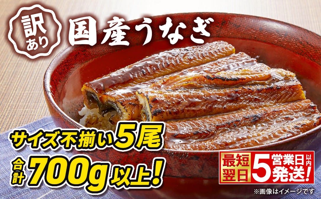 
                  〈最短翌日発送〉 【訳あり】さかい河岸水産 国産 うなぎ 蒲焼き 5尾 700g以上！ ※サイズ不揃い 小分け 鰻 ウナギ うなぎ 蒲焼き 蒲焼 うなぎ蒲焼 かばやき 国産 土用 丑 魚 魚介 魚貝 海鮮 うな重 うなじゅう ひつまぶし 冷凍 訳あり ワケ わけあり 簡単料理 簡単 手軽 時短 人気 おすすめ 境町 K2672
                