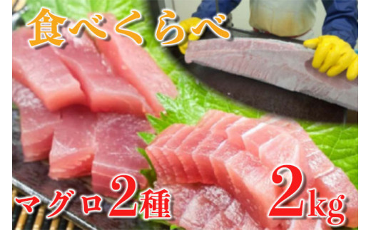 訳あり メバチマグロ ハランボ 1kg キハダマグロ 赤身 1kg 食べ比べ セット マグロ まぐろ 鮪 ハラミ 腹身 刺身 刺し身 切身 惣菜 おかず ご飯のお供 海鮮丼 鉄火丼 マグロ丼 ふるさと納税 人気 高知 須崎 ふるさと納税まぐろ ふるさと納税鮪 TY0261