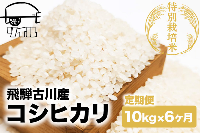 
            【2025年先行予約 10月から発送】令和7年産 米 定期便 こしひかり 6か月 10kg 米 定期便 6回 コシヒカリ 飛騨古川産 特別栽培米 こしひかり 10kg 特A ソイル
          