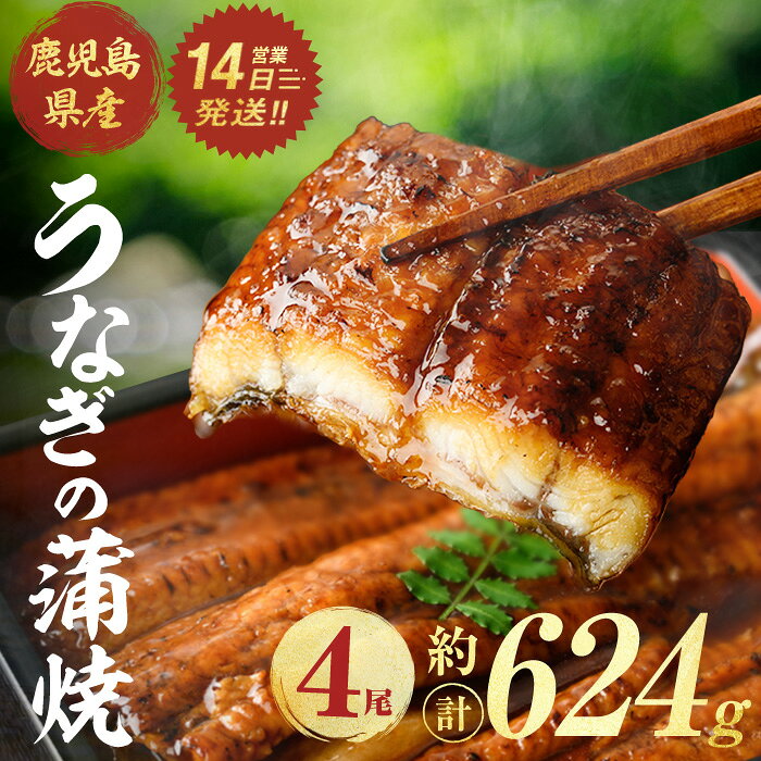 【ふるさと納税】鹿児島県産うなぎ蒲焼 (計約624g / 約156g×4尾) 鰻 ウナギ うなぎ うな重 鹿児島県産 冷凍 【株式会社薩摩川内鰻】