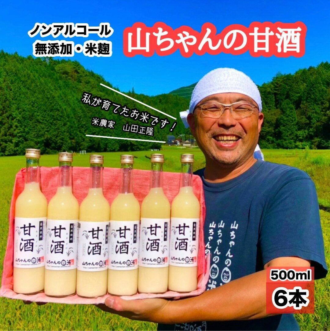 【ふるさと納税】 甘酒 山ちゃんの甘酒 500ml 6本 セット 米麹 無添加 砂糖不使用 ノンアルコール 米 発酵 お米農家 米生産者 米粒食感 山ちゃん 飲む点滴 健康 美肌 安心 安全 送料無料 y16-78