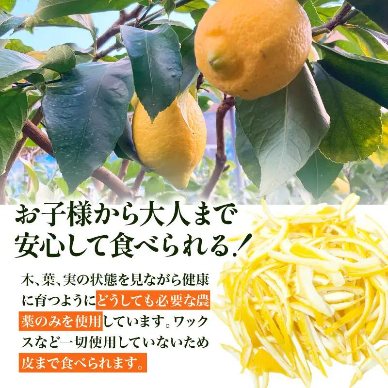 【先行受付】【2026年10月上旬～発送】とびしま海道レモン 2kg 秀品　ku212-002-26
