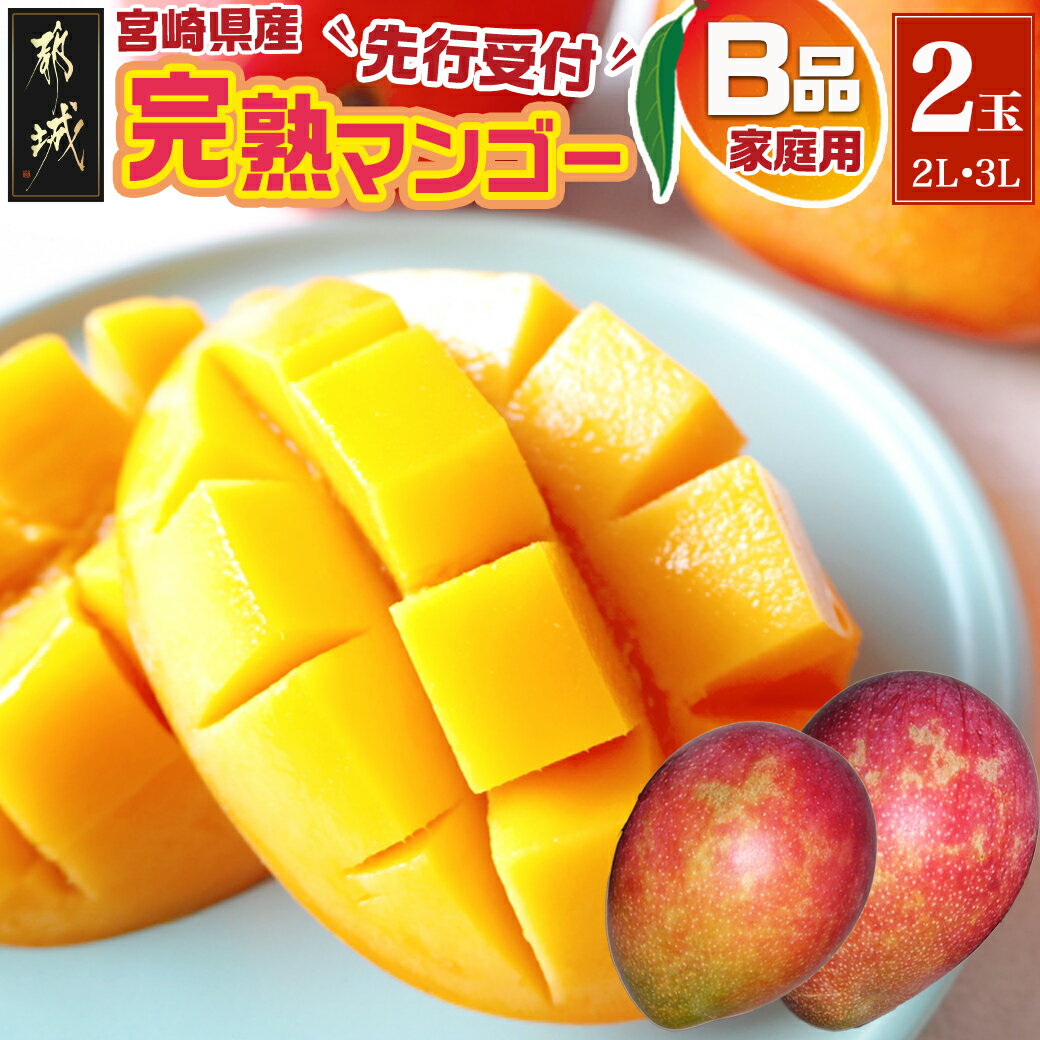 【ふるさと納税】【先行予約！】宮崎県産完熟マンゴー(B品)【2L×1玉、3L×1玉】≪2027年5月中旬以降順次お届け≫ - 宮崎マンゴー B品 2Lサイズ(約350g)1玉入り 3Lサイズ(約450g)1玉入り 先行受付 フルーツ 送料無料 21-0101【宮崎県都城市】