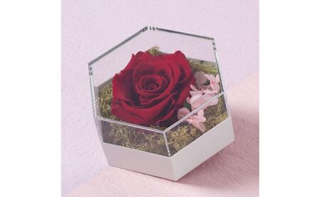 プリザーブドフラワー アレンジメント ダーククリムゾン プリザーブドフラワー
