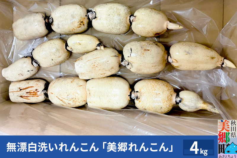 
無漂白洗いれんこん「美郷れんこん」4kg
