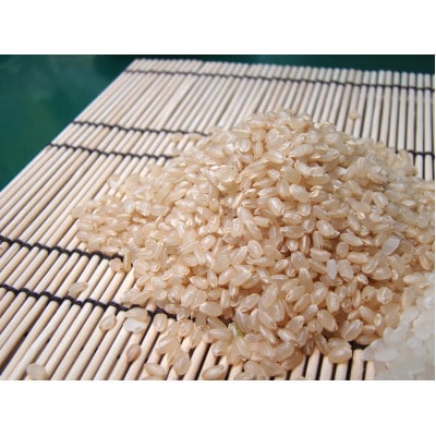 【令和7年産】京都府産コシヒカリ　聖米(玄米)5kg【1089660】