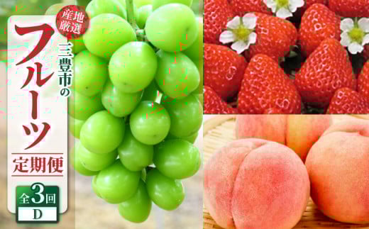 定期便 年3回 三豊市 産地厳選 フルーツ定期便D [ 果物定期便 フルーツ定期便 定期配送 産地直送 旬フルーツ 季節の果物 国産 贈答用 ギフト お取り寄せ 香川県 三豊市 苺 さぬきひめいちご 桃 もも シャインマスカット ]