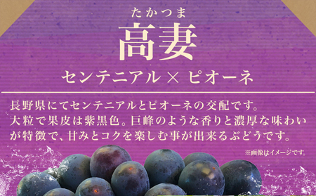 【2025年先行予約】シャインマスカット1房＆高妻2房 3房セット 約1.6kg~1.8kg  麻野農園 《2025年8月上旬-9月上旬頃出荷》 大阪府 羽曳野市 ぶどう 果物 フルーツ 葡萄 シャイ