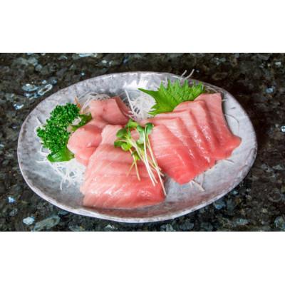 ふるさと納税 三浦市 神奈川県漁連　天然本マグロ　中トロサク |  | 02