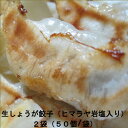 【ふるさと納税】ヒマラヤ岩塩入り生しょうが餃子(22g×100個)　【07208-0284】