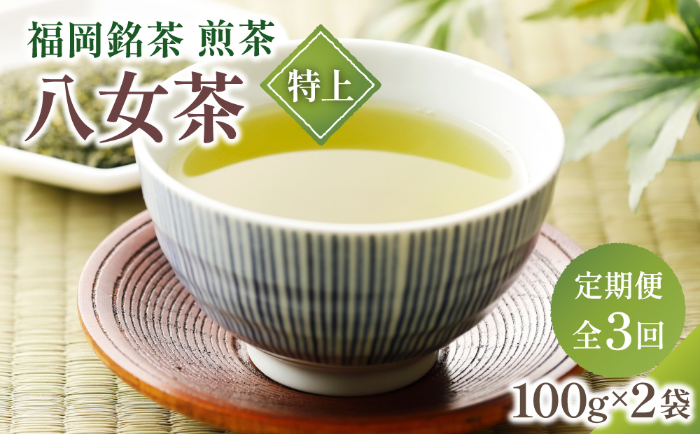  ＜定期便・全3回＞八女茶【特上】煎茶セット 100g×2袋 定期便（全3回）