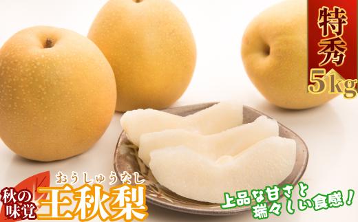 【2025年発送分】王秋梨(特秀) 5kg