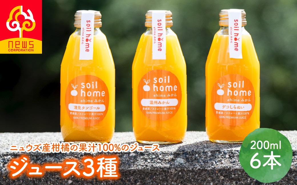
                  ジュース3種6本(200ml×6本)【ふるさと納税 人気 おすすめ ランキング 柑橘 みかん ミカン オレンジ 紅華 ジューシーフルーツ せとか 清見タンゴール おもだ畑の温州みかん デコしらぬい オレンジジュース ジュース フルーツジュース 旬 愛媛県産 愛媛みかん ニュウズ 愛媛県 伊方町 送料無料】IKTF040
                