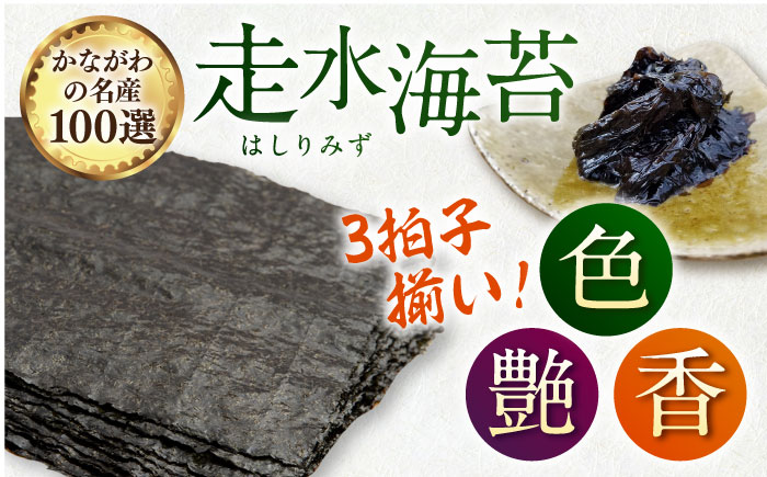 【全3回隔月定期便】【訳あり】ごま塩味付け海苔 八切り80枚×1袋（全形10枚分）※ギフト対応不可【丸良水産】 [AKAB076]