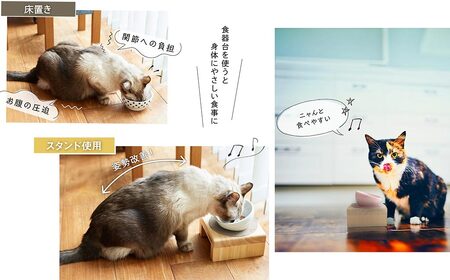 フードボウル スタンド セット 木製 国産ヒノキ 食器 名入れ 「ネコトキ」（シングル）ペールブルー 【四国加工】 ペット用品 猫 小型犬