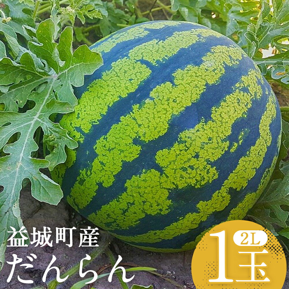 【ふるさと納税】スイカ だんらん 約7kg 1玉 2Lサイズ すいか フルーツ 果物 益城町産 熊本県産 九州産 送料無料