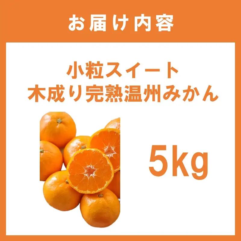 小粒スイート 木成り完熟温州みかん5kg≪先行予約≫2026年12月より順次発送予定【1361】