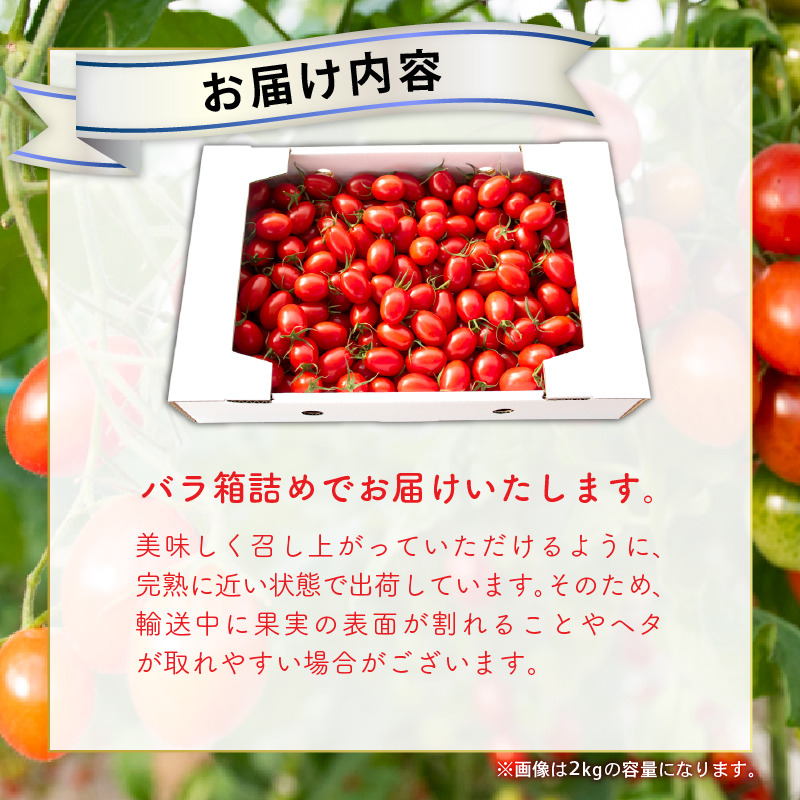 【先行受付開始】ハッピートマト3kg