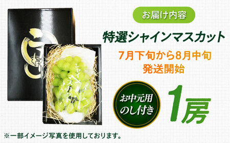 【お中元対象】【お中元用/熨斗付】特選シャインマスカット 1房 / シャインマスカット ぶどう フルーツ 果物 贈答 / 佐賀県 / リフルット株式会社 [41ABAA016]