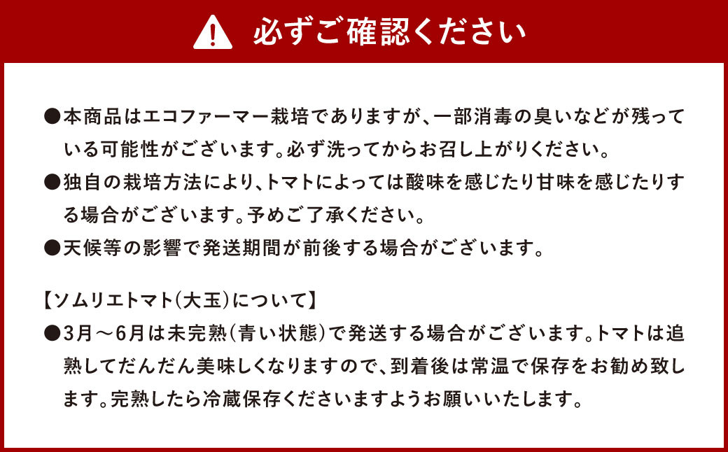 【食べ比べ】ソムリエトマト1.3kgとソムリエミニトマト プラチナ500gとダイヤ500gのセット