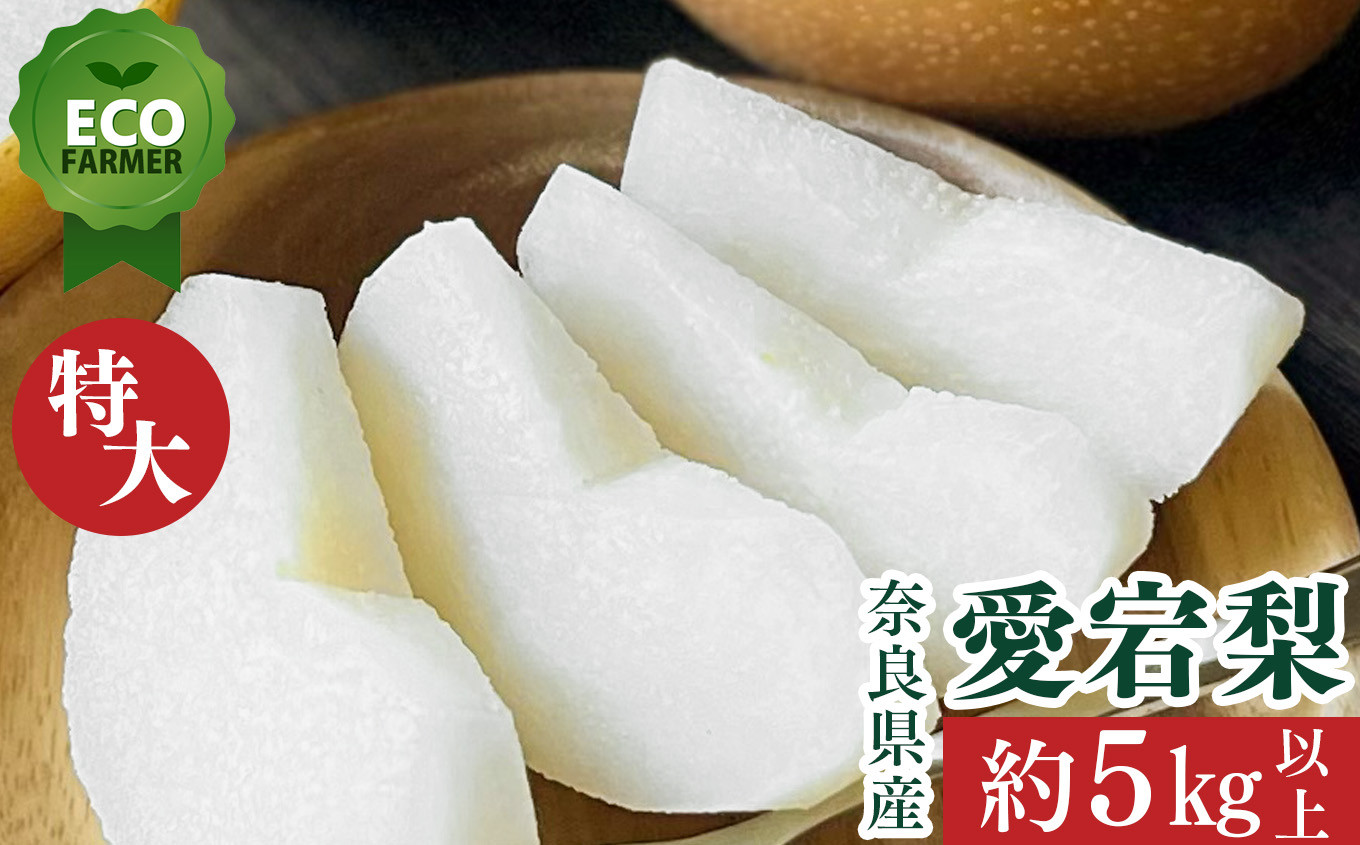 
            A2 【2025年先行予約】 南陽園のあたご梨 高級一段箱（約5kg） 特大サイズ 【秀品】 | ≪数量限定≫ 梨園直送！ 期間限定 果物 フルーツ 農家直送 シャキシャキ もぎたて 旬 お取り寄せ ※12月中旬より順次発送
          