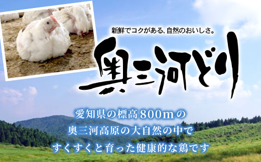 愛知県産 銘柄鶏 奥三河どり 半羽 小分け 約 0.9ｋｇ 鶏肉セット 国産 冷凍 生 生鶏 チキン クリスマス パーティー バーベキュー BBQ アウトドア キャンプ ダッチオーブン チキン 鶏肉 