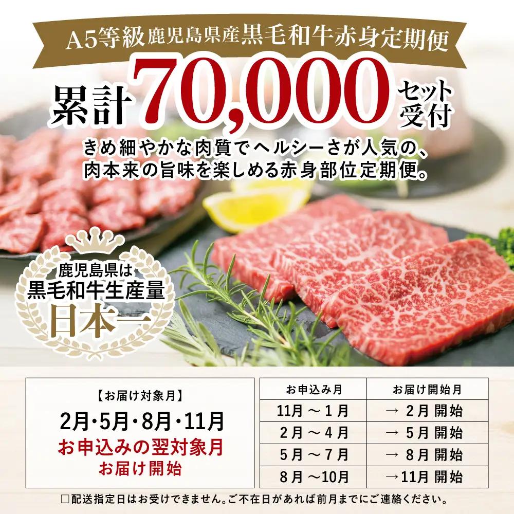 【特撰定期便 全4回】 A5等級 鹿児島県産 黒毛和牛 赤身 定期便 赤身肉 ヘルシー ステーキ すき焼き しゃぶしゃぶ 焼肉 ローストビーフ ブロック お肉 国産 牛肉 冷凍 定期便 カミチク