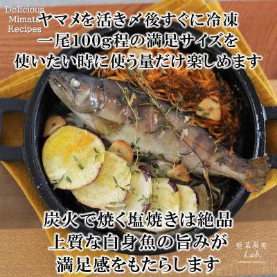 ふるさと納税 三股町 新鮮冷凍ヤマメ塩焼きサイズ約100g×50尾【MI773】 |  | 01