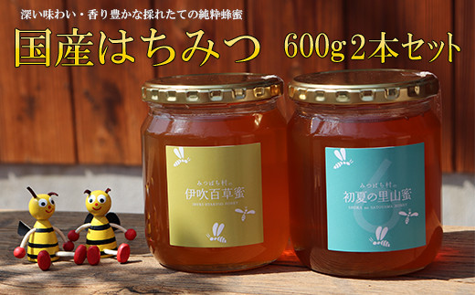 国産はちみつ600g2本セット 2025/9/19〜