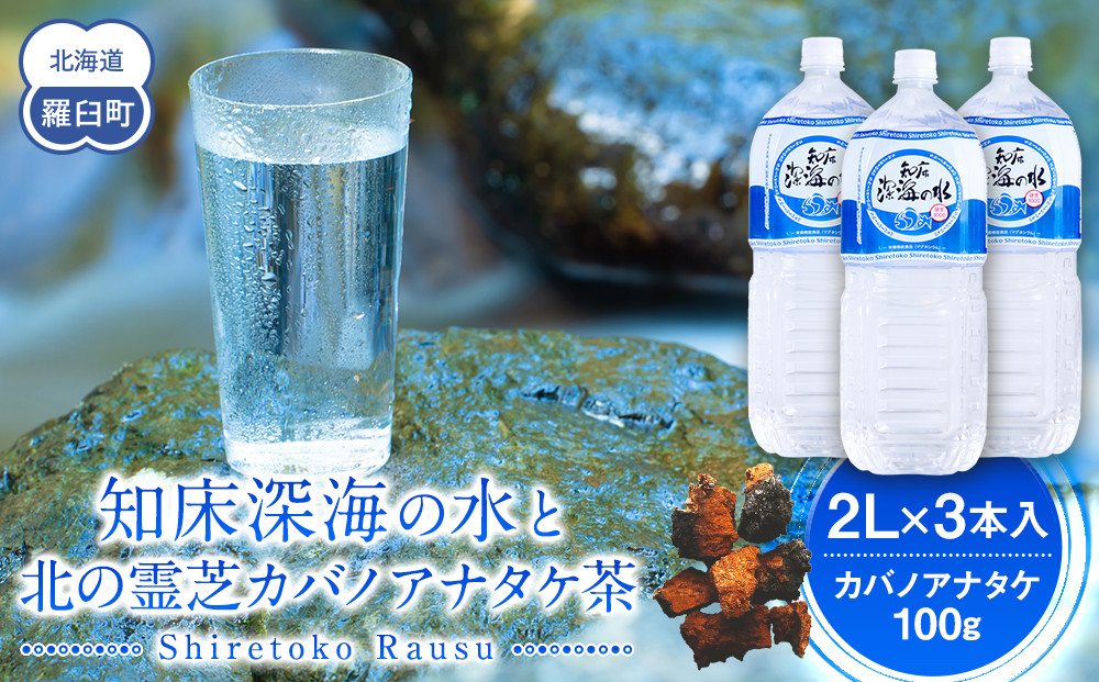 知床深海の水と北の霊芝カバノアナタケ茶セット  海洋深層水 北海道 知床 羅臼 らうす 世界自然遺産 天然 ミネラル マグネシウム 国産 常備水 備蓄 硬水 清涼飲料水 幻 きのこ キノコ お茶 生産者 支援 応 016942_AK040