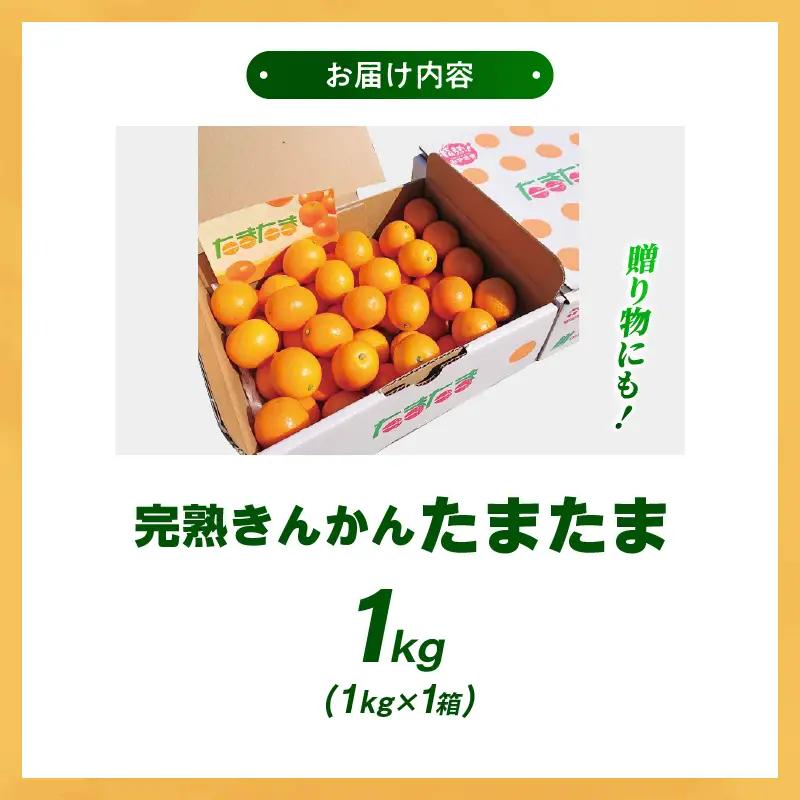 【先行予約】完熟きんかん「たまたま」1kg 果物 フルーツ くだもの 柑橘 金柑 おすすめ ブランド ギフト 贈り物 贈答 プレゼント おすそ分け おやつ スイーツ デザート 大きい 糖度が高い 常温