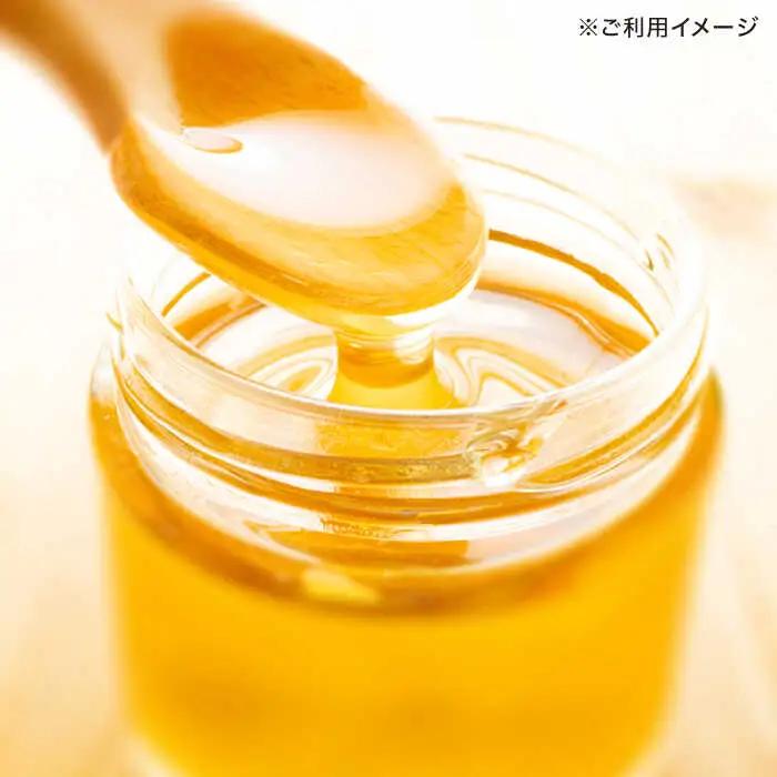 長崎県産天然はちみつ600g(2本セット) / 百花蜜 百花蜂蜜 蜂蜜 はちみつ ハチミツ / 諫早市 / 坂口養蜂 [AHDB001]