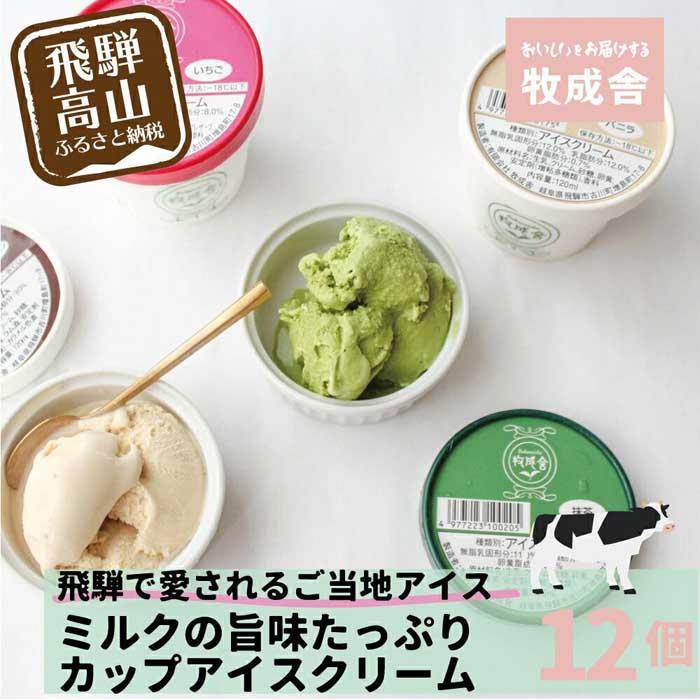 【ふるさと納税】＜牧成舎＞ 飛騨の牛乳屋が作る ミルクの旨味たっぷり カップアイスクリーム 12個入り（バニラ/抹茶/いちご/ラムレーズン 各3個）| デザート 牧場 アイス 人気 おいしい 牛乳 ギフト 飛騨高山 牧成舎 DF018VP