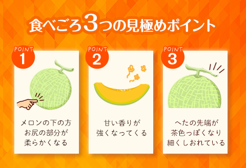 【先行予約】期間限定 数量限定 宮崎産 アールスメロン <赤肉> 1ケース(4～5玉)