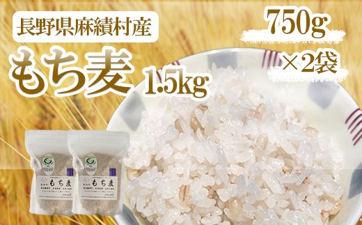 
                  もち麦 1.5kg 長野県産 ホワイトファイバー 栽培期間中 化学肥料 農薬不使用 おいしく 健康的 キレイの素 環境にやさしい 信州匠選 750ｇ×2セット

                