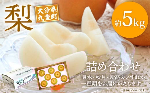 大分県 九重町産 梨 詰め合わせ 約5kg 【2026年8月下旬-10月下旬発送予定】