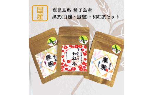 種子島 黒茶 白麹・黒麹・和紅茶セット　NFN593【250pt】