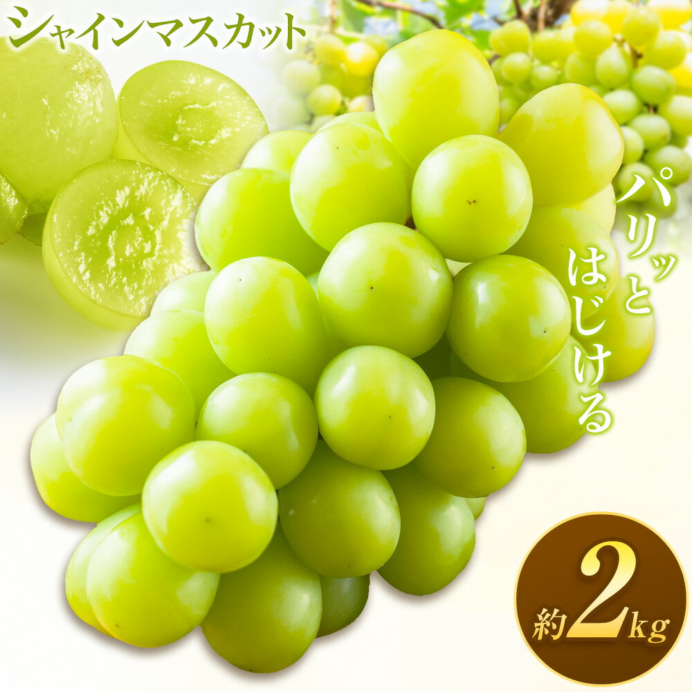 【ふるさと納税】さつま町産 シャインマスカット 2kg 市山梨花園《8月下旬-9月下旬頃出荷》鹿児島県 さつま町 果物 フルーツ ぶどう マスカット