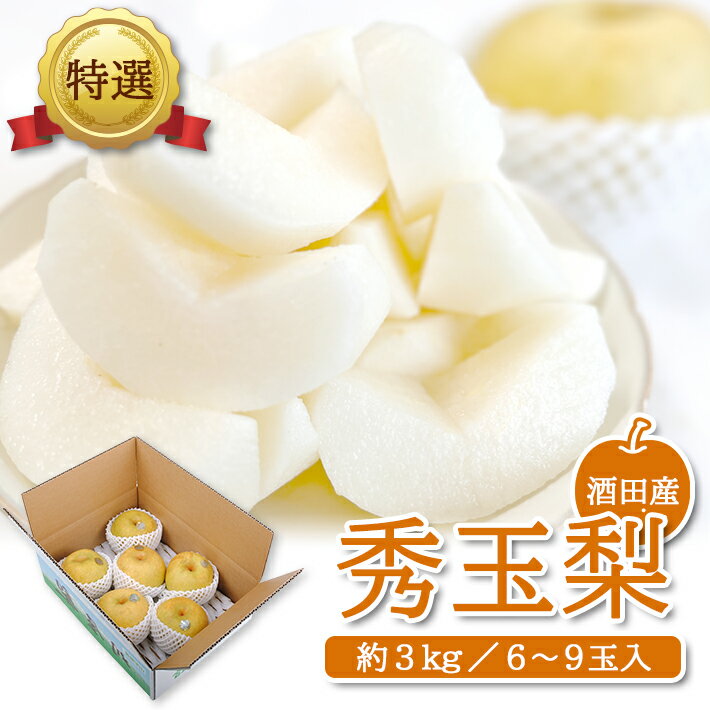 【ふるさと納税】特選 秀玉梨 約3kg（6〜9玉入） 山形県酒田産 9月上旬〜9月中旬頃お届け ※着日指定不可 和梨 ナシ 梨 なし 秀玉 東北 山形県 酒田市 庄内 秋 旬 フルーツ