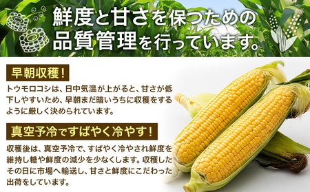 とうもろこし約5kgきらいち結城店《6月中旬-7月中旬頃出荷》 とうもろこしとうもろこし【配送不可地域 本州以外】