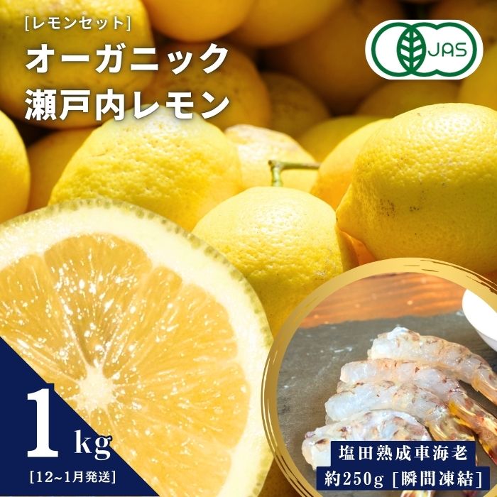 【ふるさと納税】レモンセット オーガニック瀬戸内レモン 1kg(12~1月発送) / 塩田熟成活車海老 250g オーガニック 有機レモン 有機JAS 果汁100% レモン えび エビ エビフライ 晩酌 国産 瀬戸内 濃厚 甘さ控えめ 免疫力向上 健康 ビタミンC クエン酸 抗酸化 ソーダ 炭酸水