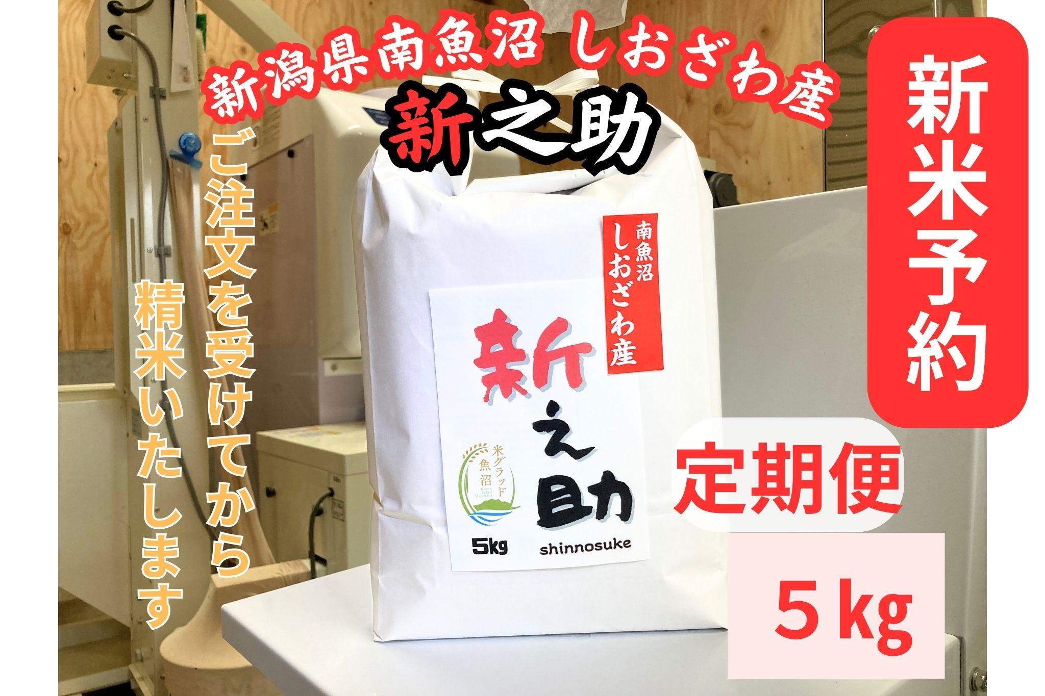 【令和8年産・新米予約・定期便】新潟県南魚沼産　新之助　5kg×３か月　大粒でツヤがあるこれまでにないお米【2026年10月中旬より1ヶ月以内に順次発送予定】