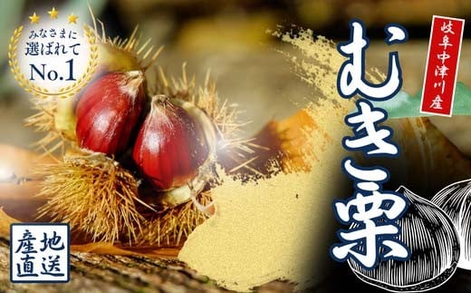 
            【中津川産】天然むき栗 500g 和菓子・栗ご飯に最適！瞬間冷凍 F4N-2575
          