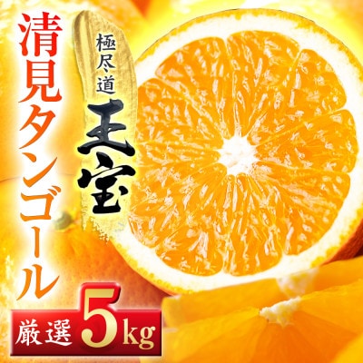 【愛媛名産】玉宝清見タンゴール　5kg【C64−35】【1510847】