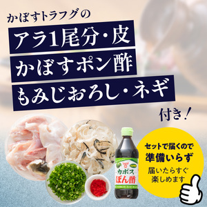 かぼすトラフグ うす引き・チリセット(33cm皿)【12月~2月までお届け】