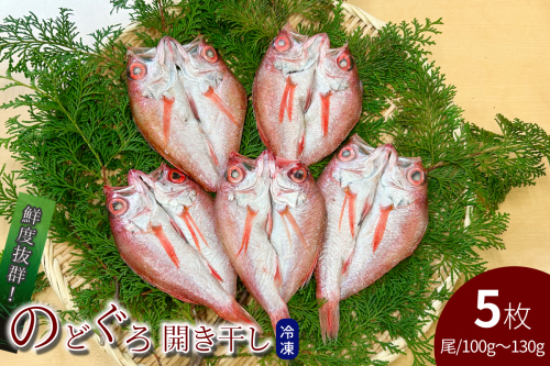 のどぐろ開き干し 100g～130g × 5枚 【176_1788】
