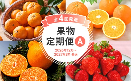 定期便 果物定期便A 4回発送 山見阪ネーブル みかん デコポン 博多あまおう 定期発送 果物 くだもの フルーツ 柑橘 イチゴ 送料無料 【2026年12月〜2027年3月発送】