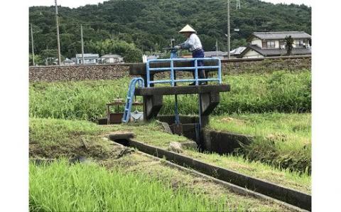 先行予約 【新米】 ハツシモ「ふるさと物語」 10kg 新米